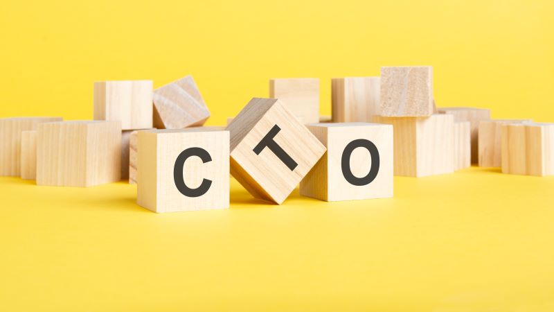 The Advantages of Having a Fractional CTO Service